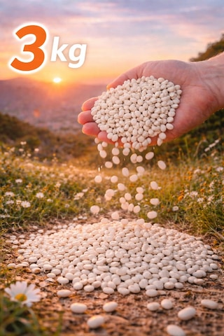 Kuru Fasulye 3kg
