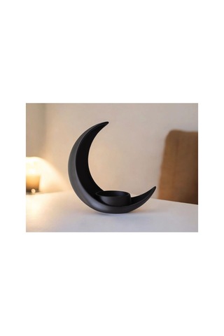 Crescent Moon Decoration With Elliptical Plant Pot