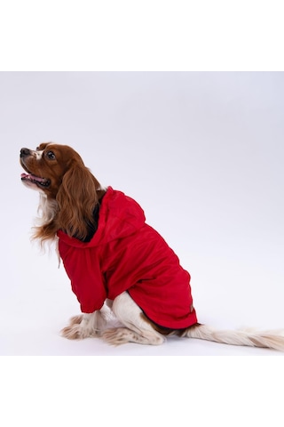 Pettrend Kırmızı Mont Köpek Mont Köpek Kıyafeti Köpek Yağmurluğu