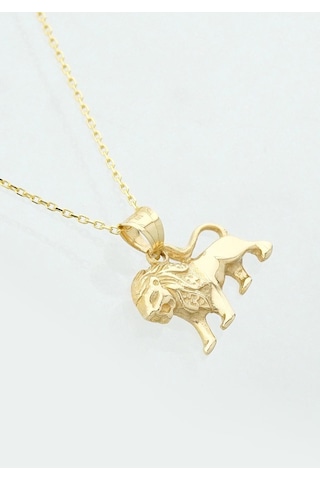 14 Ayar Altın Kolye Leo Sarı
