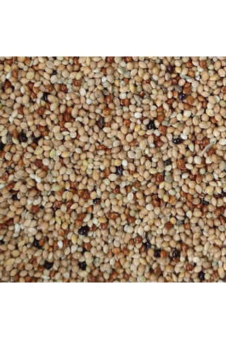 Karışık Muhabbet Kuşu Yemi 3 KG Karışık Muhabbet Kuşu Yemi 3 KG