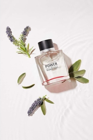 Antonio Banderas Power Of Seduction Erkek Parfüm EDT 100 ML