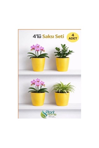Hüskon Ticaret 4 Lü Sarı Dekoratif Saksı Seti 4 Adet Iç Saksı + 4 Adet Dış Saksı