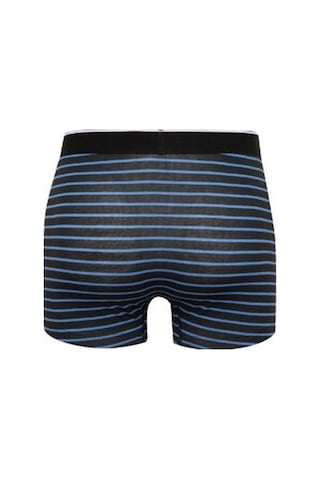 DeFacto Regular Fit Çizgili 3'lü Boxer C9573AX24CWBK81