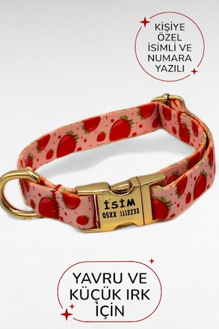 Caramelos İsimli Köpek Tasması, Yavru Köpek Tasması, Küçük Irk Köpek Tasması, Metal Kilit, 1,5 Cm Pembe
