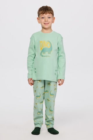 Panço Erkek Çocuk Dinazor Desenli Pijama Takımı Turkuaz