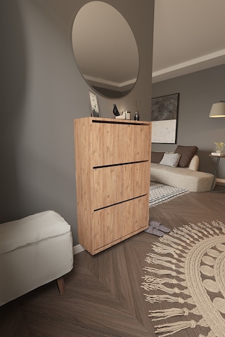 Dekorfim DF08101AC Ayakkabılık Raflı Ayakkabılık 3 Bölmeli Kapaklı Ayakkabılık