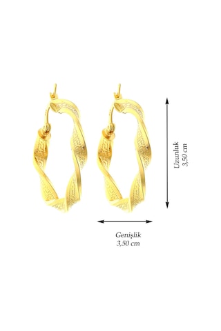 14 Ayar Altın Küpe Grek Desenli Tek Burgu Halka Küpe 3,7 Cm Çapında