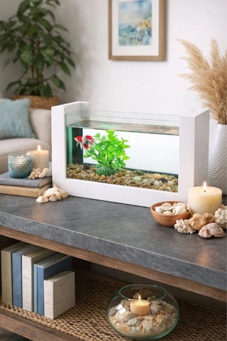 Reyo Ok-ay Store Beta Balığı İçin Ahşap Mini Akvaryum Modern Şık Doğal Minimal Tasarım Akvaryum Beyaz