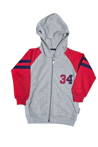 Ela Erkek Çocuk Mevsimlik Kapşonlu Penye Sweatshirt Gri - Kırmızı