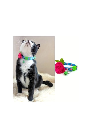 Willowhaven Gzpets Çiçekli Kedi Tasması - Tavuskuşu Mavi, Ayarlanabilir Ve Emniyetli Kırılmasız Tasarım Diğer