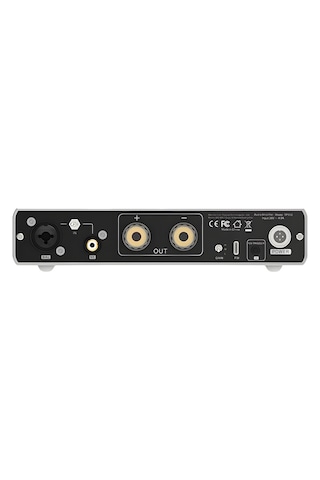B100 Mono Power Amplifier Silver