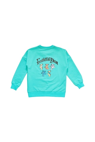 İrem Çocuk Giyim Kız Çocuk Önü Yazı Arkası Resim Baskılı Bisiklet Yaka Sweatshirt Su Yeşili Su Yeşili