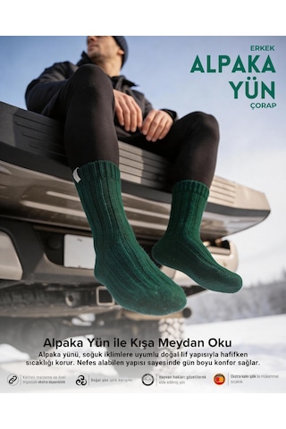 Bolero Nordsox E31 Erkek Alpaka Yün Soket Çorap 41-45 Nefti