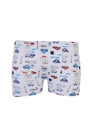Tutku 12li Erkek Çocuk Renkli Boxer Desenli Baskılı Pamuklu Rahat Karışık