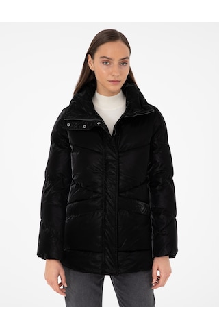 Pierre Cardin Kadın Siyah Mont 50290328-vr046