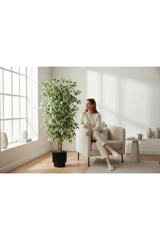 Yapay Ficus Ağaç 150 Cm Siyah Vega Saksı Yeşil