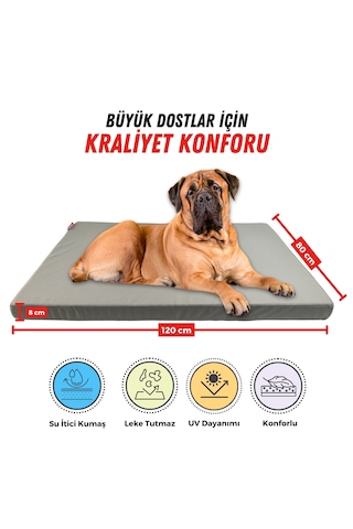 Xpermate Patiminder Köpek Yatağı Büyük Irk Köpek Yatağı 80 x 120 CM