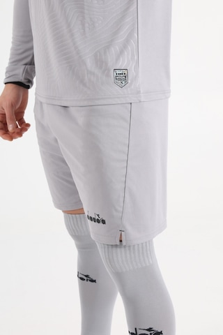 Diadora Elite Futbol Kaleci Forma Şortu Gri
