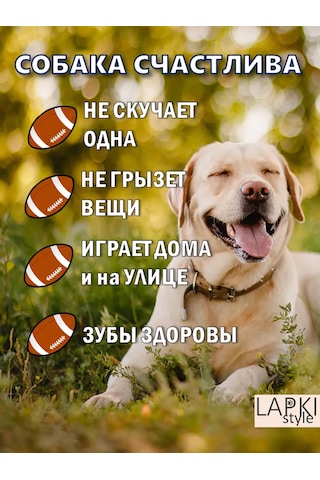 Lapkistyle Köpekler İçin Ragbi Topu 240323449