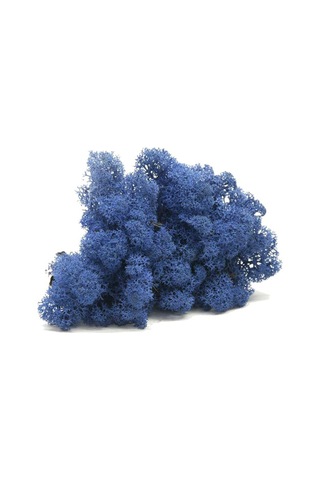 Trend Bahçe Reindeer Moss Mavi Şoklanmış Norveç Yosunu 500 G