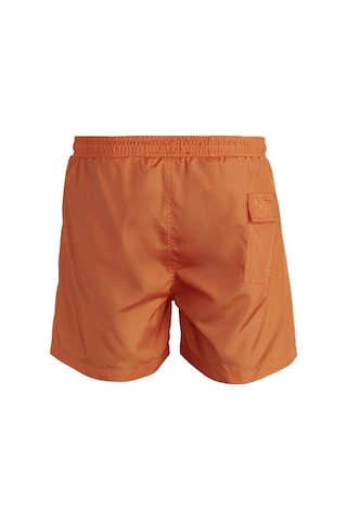 Bad Bear 21.01.09.004.os-c38 Jacksonville Swimshort Os Erkek Şort Mayo 001