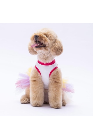 Happy Birthday Kedi Köpek Elbisesi - Kedi Köpek Kıyafeti