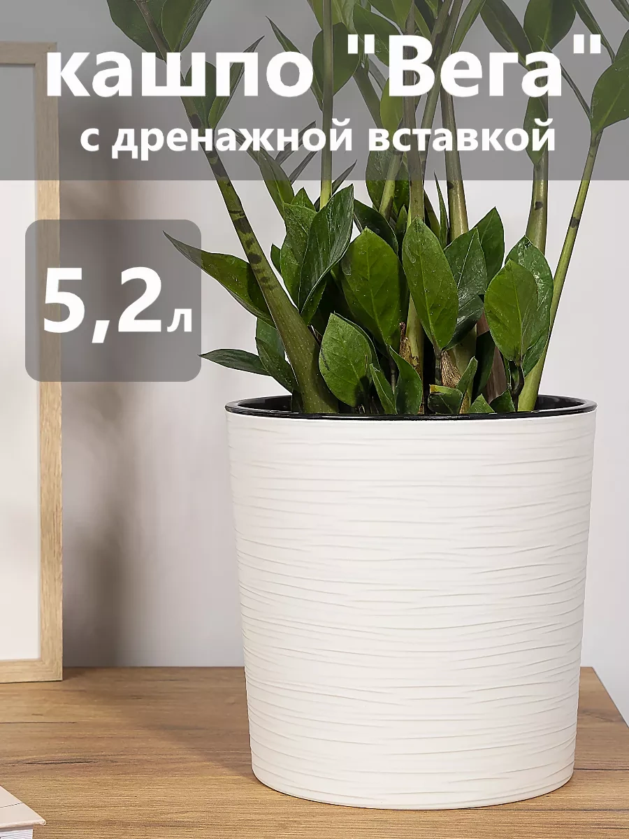 Live-in-green Otomatik Sulamalı Saksı, Yer Saksısı 165191213