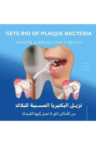 Willowhaven 200 Adet Diş İpi, Derin Temizlik Ve Seyahat İçin Portatif Ağız Bakımı