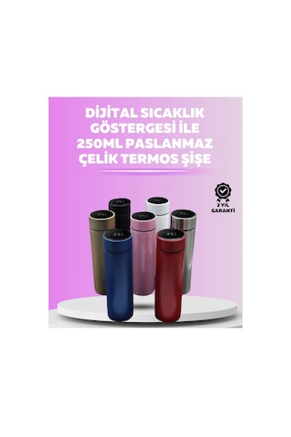 Bfs Led Sıcaklık Ölçerli 250 Ml Yalıtımlı Termos Şişe Çok Renkli