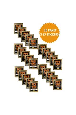 Toyika Panini Lisanslı World Class 2024 Koleksiyon 25 Paket 125 Stickers Çıkartma
