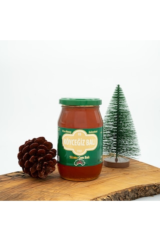 Köyceğiz Balı Süzme Çam Balı Cam Kavanoz 450 G