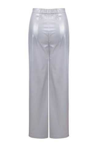 Senna Nıxıe Pants Gümüş Gümüş