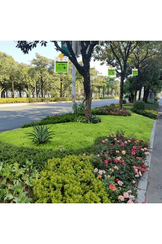 Reedark Doğal Yemli Sinek Tuzağı - Çiftlik, Bahçe Ve Açık Alanlar İçin Uzun Süreli Etkili Sinek Kovucu