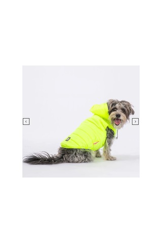 Stupid Yeşil Nakışlı Şirin Köpek Kıyafeti