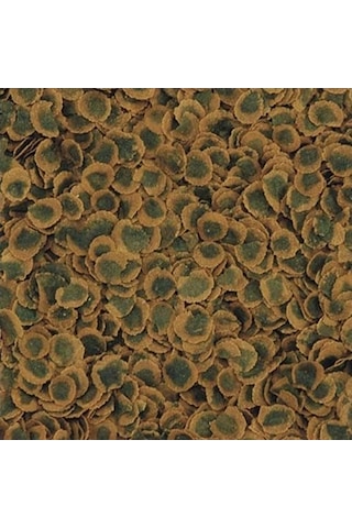 Tetra Pro Algae Vegetable 100gr (Açık)