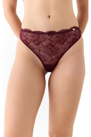 Amarelle Roma Bordo Dantelli String Külot