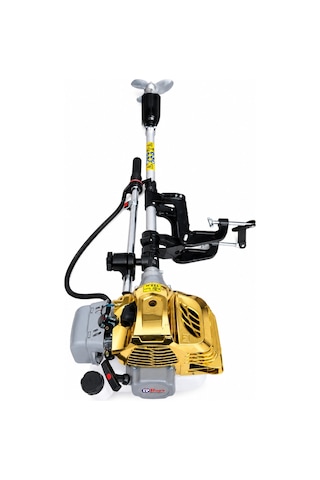 Roys Gold Renk Pro Tekne Ve Bot Motoru 2 Zamanlı