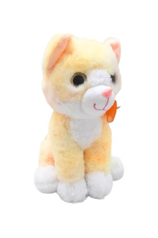 Ticaret Peluş 30cm Renkli Kedi Adet Fiyatıdır Najmaddin