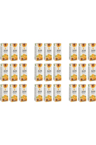 Juss Kayısı Meyve Nektarı 200 Ml X 27 Adet