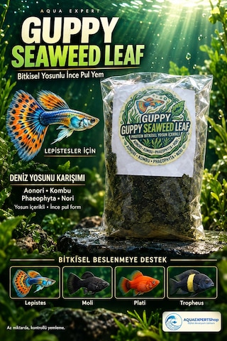 Aqua Expert Guppy Seaweed Leaf Aonori & Kombu Yosunlu İnce Pul Lepistes Ve Tropheus Yemi - 20 Gr