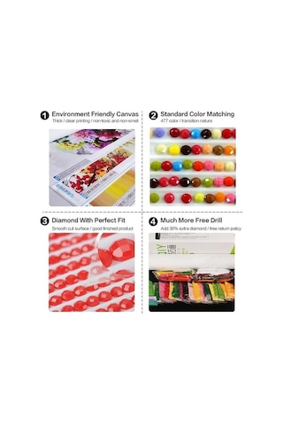 Novahub Maine Coon Kedi 5d Elmas Boyama Mozaik Nakış İğne Dıy Set