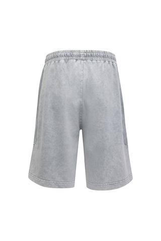 Reebok Anthe Short Gri Erkek Şort Gri