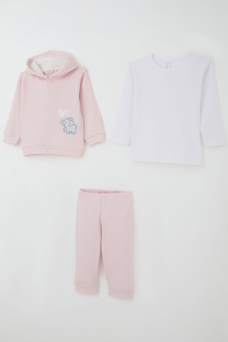 Breeze Kız Bebek Bodyli 3 Lü Takım Balonlu Sevimli Bebek Fil Arma Nakışlı 4 Ay-1 Yaş, Pembe