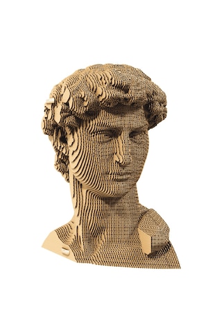 Cartonic 3d Puzzle - Davıd