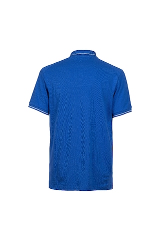 Arena Team Solid Cotton Unisex Mavi Günlük Stil Polo T-shirt 004901800