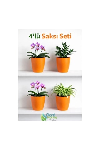 Dekoratif Turıncu Orkide Saksısı - 4 Adet Set - 12 Pot Üretim Saksısına Uygun Kaliteli Ürün