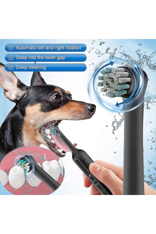 Köpek Diş Fırçalama Seti,köpekler İçin Sonic Elektrikli Diş Fırçası,plak Ve Tartar Temizleyici,3 Fırça Başlığı Siyah G
