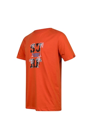 2as Alex Baskılı Erkek Sıfır Yaka T-shirt 047 TURUNCU