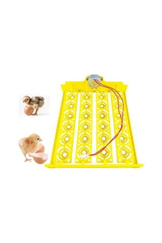 Pazly Yumurta Yumurta Tepsisi Tavuk Suntek Otomatik Çevirme 24 Cx